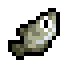 Archerfish in-game fish icon